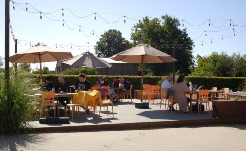 carmasec-Mitarbeitende beim gemeinsamen Arbeiten im Außenbereich von La Gremille bei sonnigem Wetter